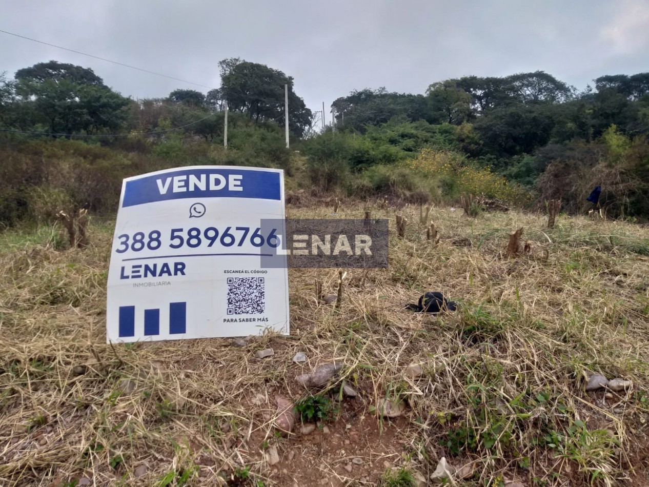 TERRENO 