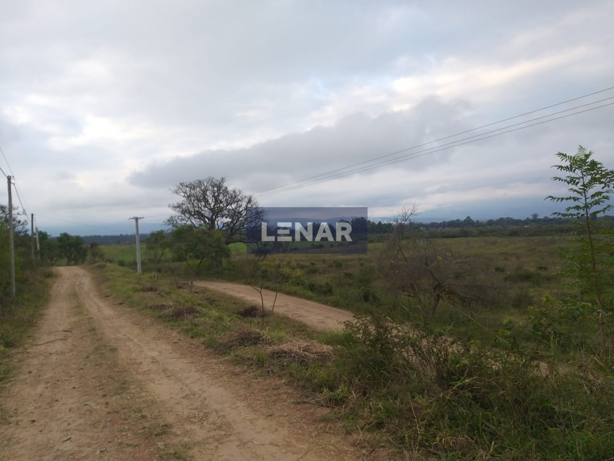 TERRENO 