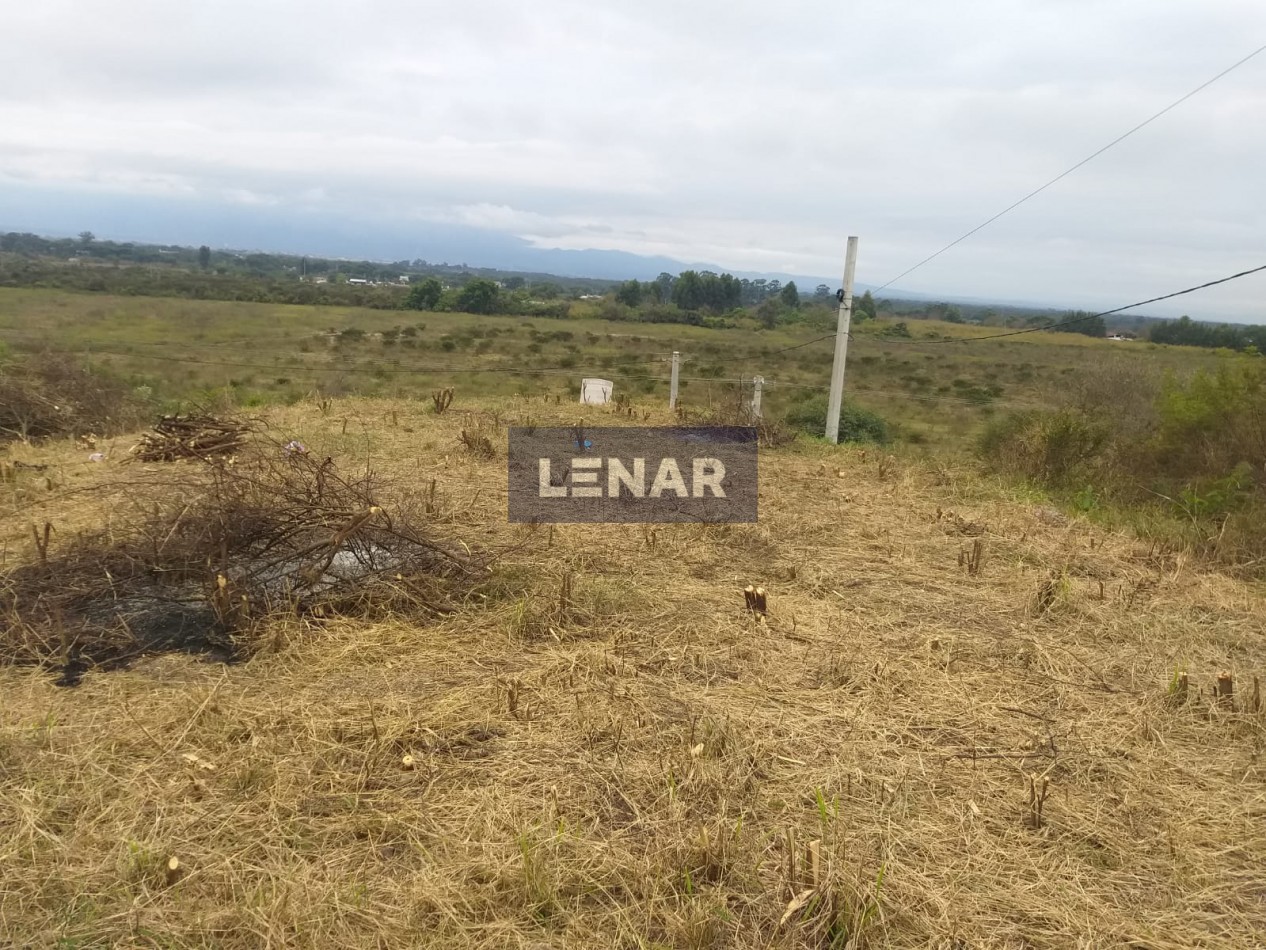 TERRENO 