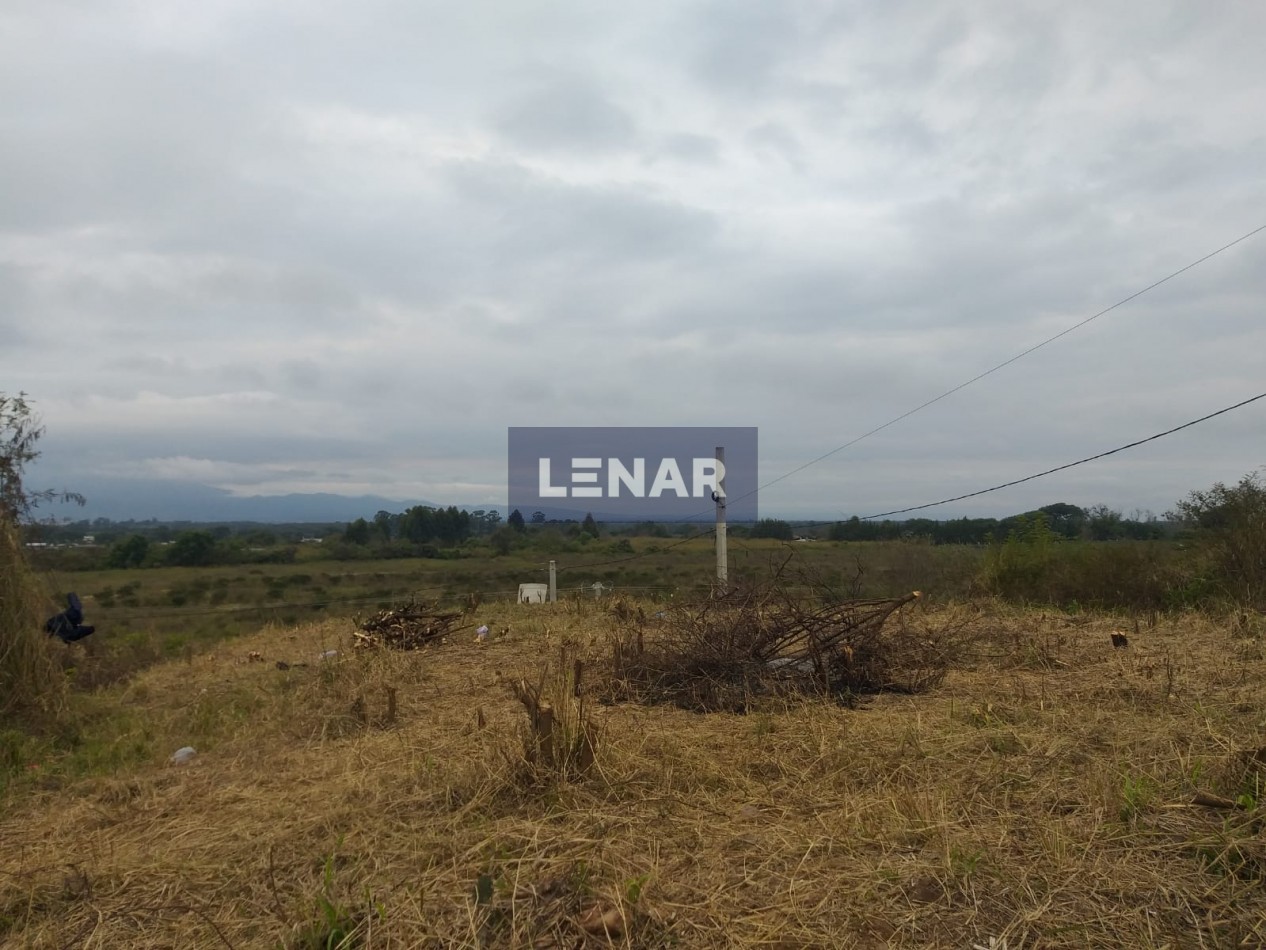 TERRENO 