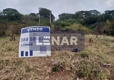 TERRENO 